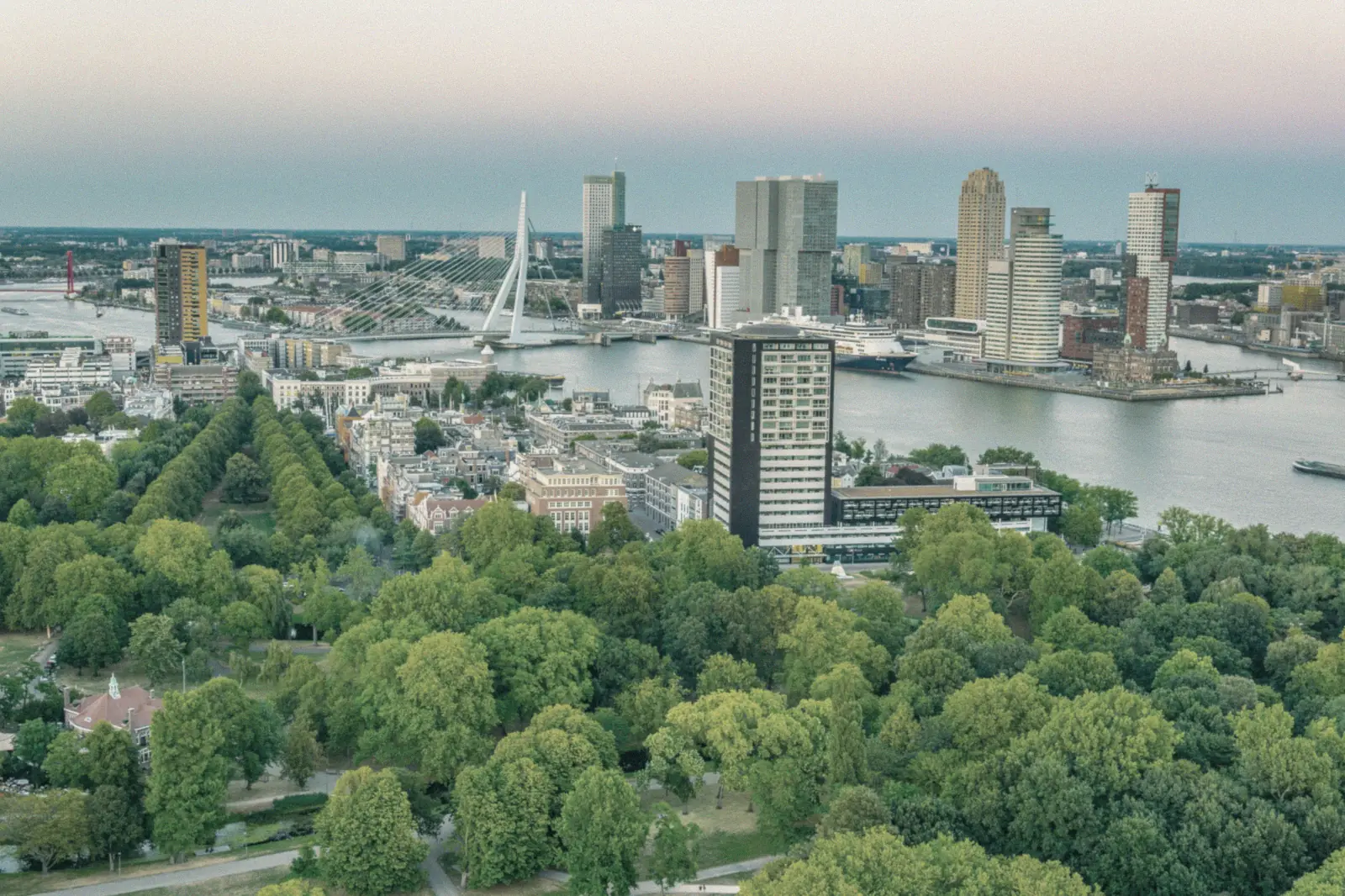 Rotterdam skyline with the Erasmus Bridge